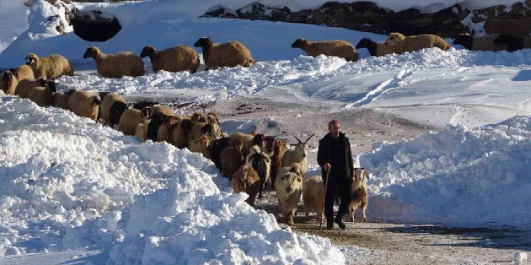 Yazın tedbir alındı zorlu mesai başladı! Burada kış sert emek daha da sert: Besiciler soğuğa meydan okuyor 5